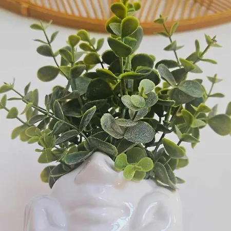 Z Balia-jacuzzi Na Wylacznosc ! Dwa Jelonki * Wisla