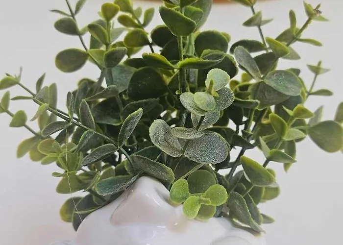 Z Balia-jacuzzi Na Wylacznosc ! Dwa Jelonki * Visla