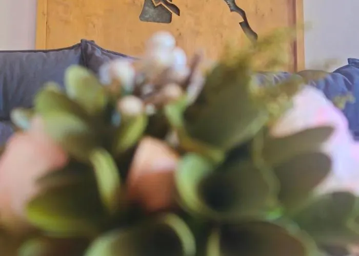 Z Balia-jacuzzi Na Wylacznosc ! Dwa Jelonki * Visla